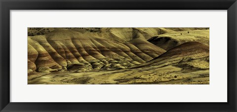 Framed Painted Hills Print