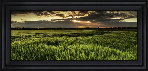 Framed Weadfield Print