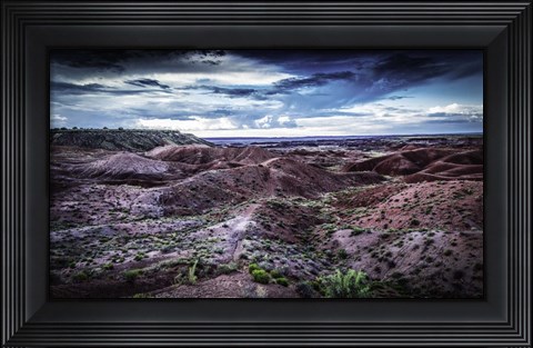 Framed Painted Desert Print