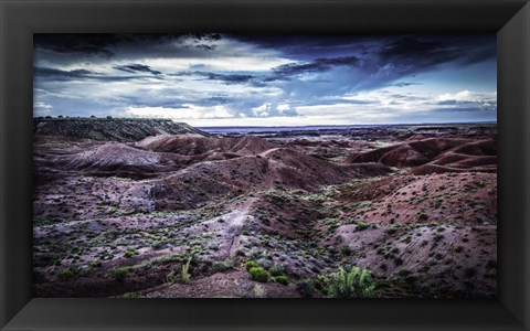 Framed Painted Desert Print