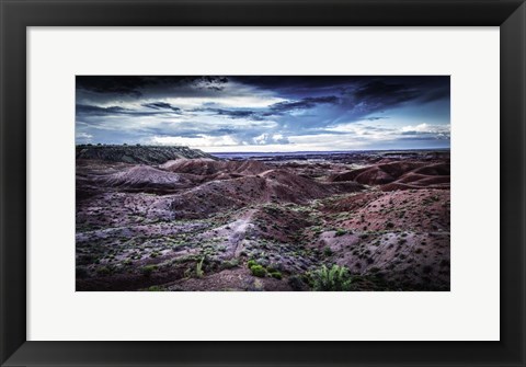 Framed Painted Desert Print