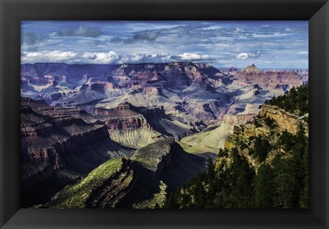 Framed Grand Canyon South 4 Print