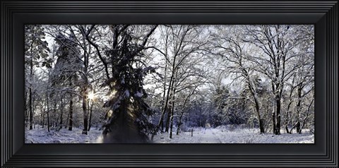 Framed Falling Snow Print