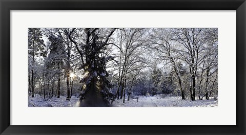 Framed Falling Snow Print