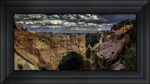 Framed Bryce Arch Print