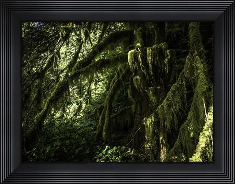 Framed Mossy Tempered Forest Print