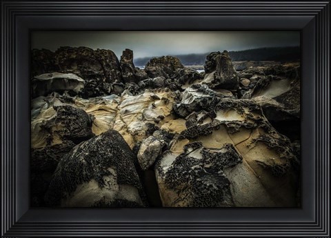 Framed Salt Point Print