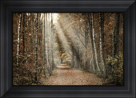 Framed Autumn Sun Print