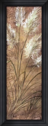 Framed Pampas Print