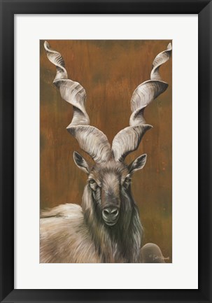 Framed Mighty Markhor Print