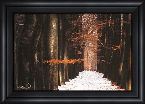 Framed Red and Wet Print