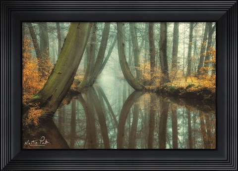 Framed Lust for Life Print