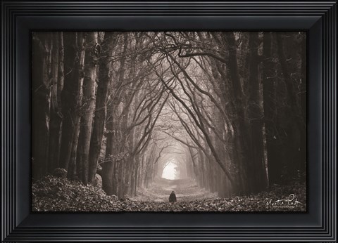 Framed In the Land of Gods and Monsters Print