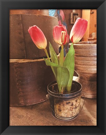 Framed Tulip Simplicity Print