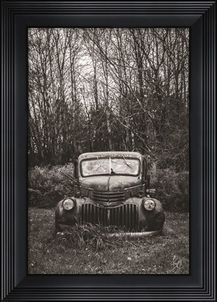 Framed Bumper in Weeds Print
