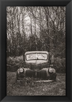 Framed Bumper in Weeds Print