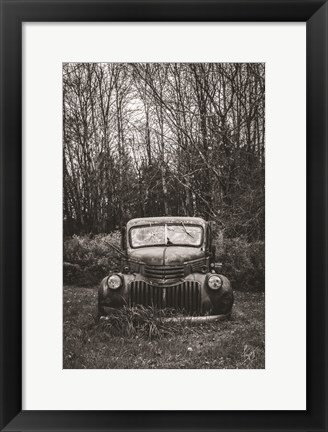 Framed Bumper in Weeds Print