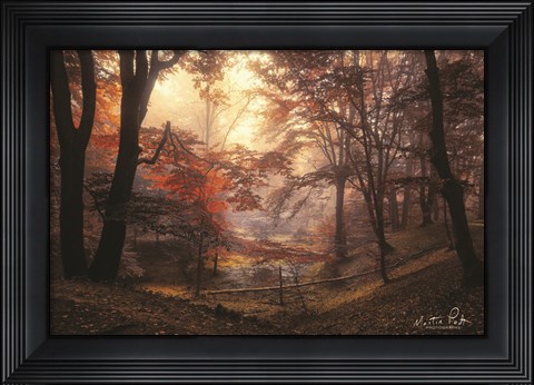 Framed Pool Print