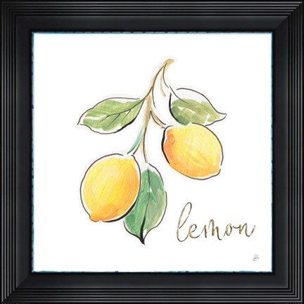 Framed Mediterranean Breeze XIV Print