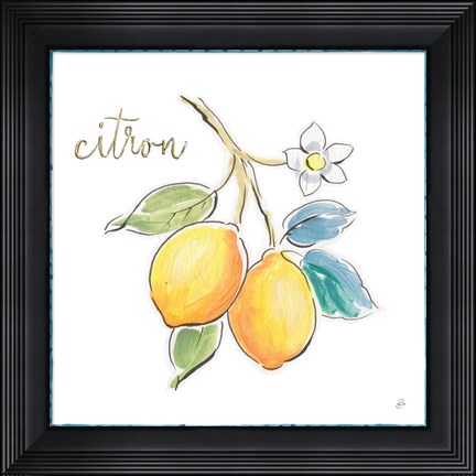 Framed Mediterranean Breeze XIII Print