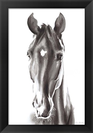 Framed Le Cheval Noir Print