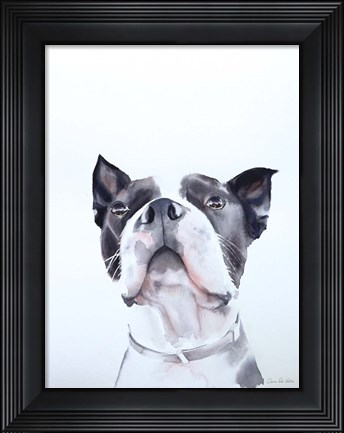 Framed Bird Watching Print