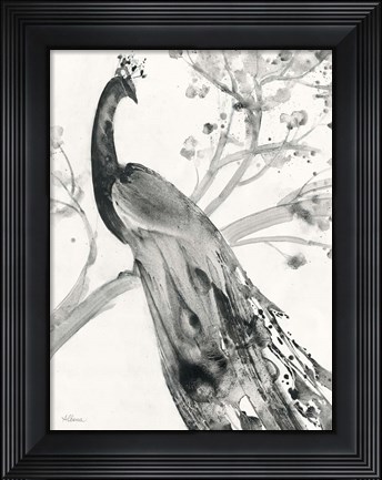 Framed Majestic Peacock Print