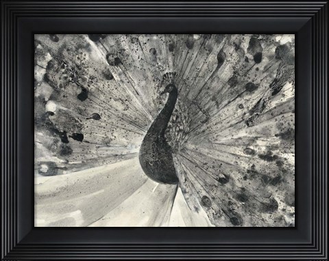 Framed Fanfare Print