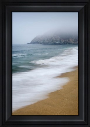 Framed Gray Whale Cove Print