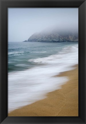 Framed Gray Whale Cove Print