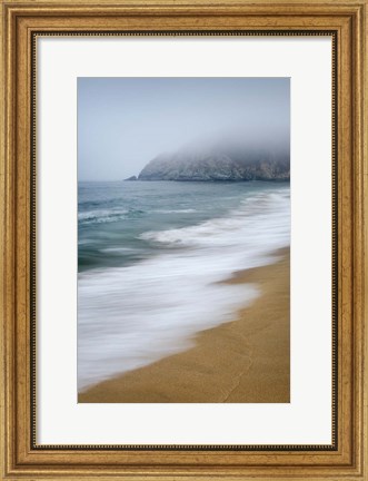 Framed Gray Whale Cove Print