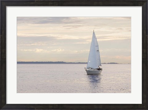 Framed Sailboat in Semiahmoo Bay Print