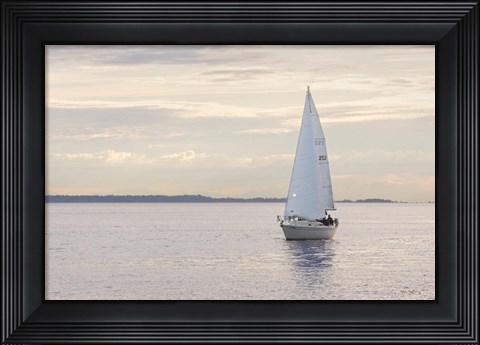 Framed Sailboat in Semiahmoo Bay Print