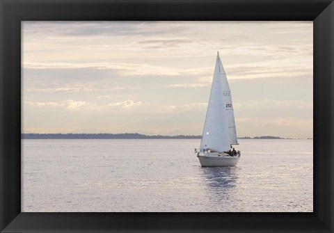 Framed Sailboat in Semiahmoo Bay Print