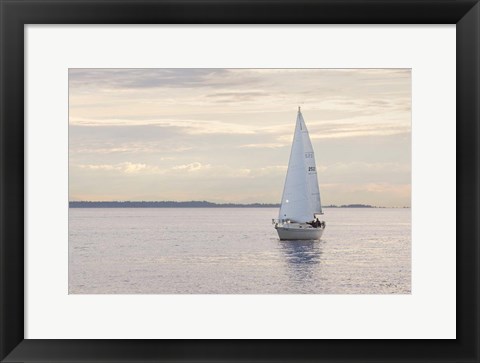 Framed Sailboat in Semiahmoo Bay Print