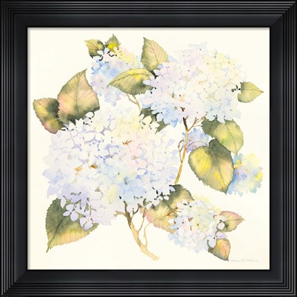 Framed Hydrangeas Print
