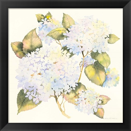 Framed Hydrangeas Print