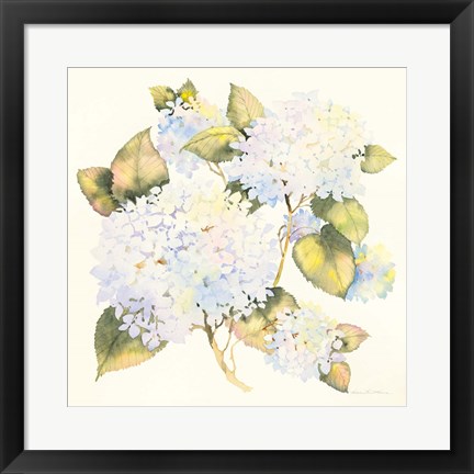 Framed Hydrangeas Print