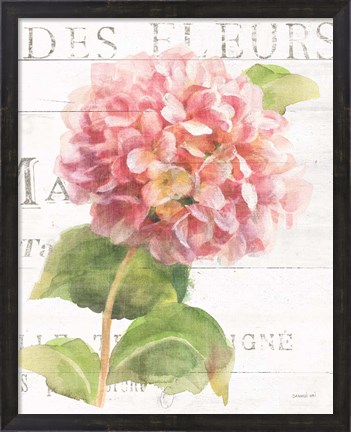 Framed Maison des Fleurs VII Print