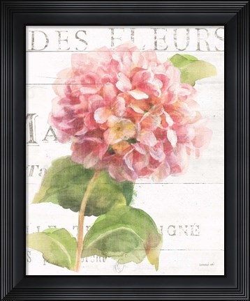 Framed Maison des Fleurs VII Print