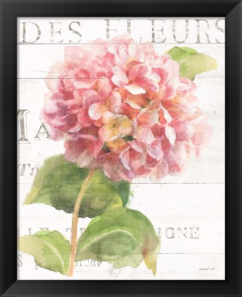 Framed Maison des Fleurs VII Print