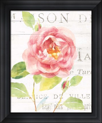 Framed Maison des Fleurs V Print