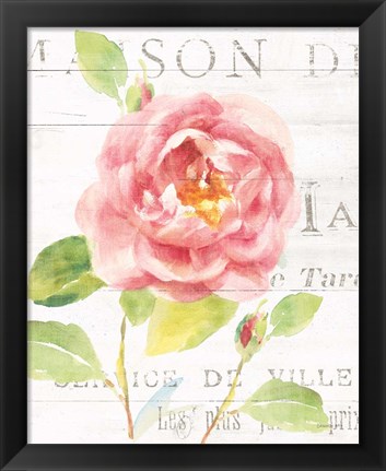 Framed Maison des Fleurs V Print