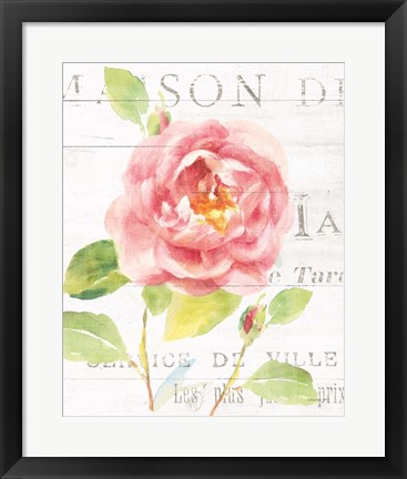 Framed Maison des Fleurs V Print