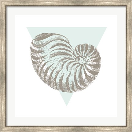 Framed Conchology Sketches II Print