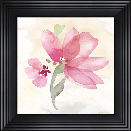 Framed Poppy Single Pink Print