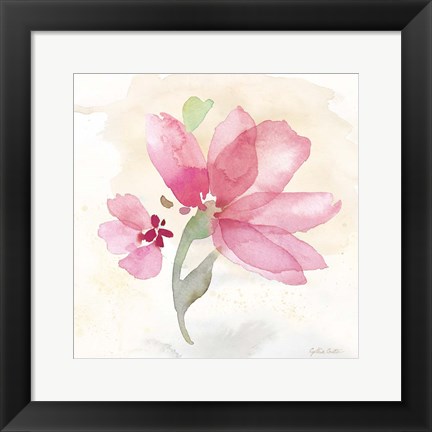 Framed Poppy Single Pink Print