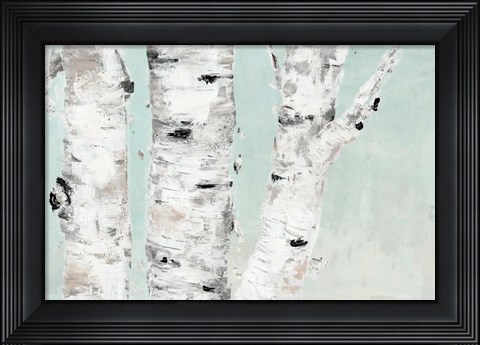 Framed Birch Tree Close Up Print