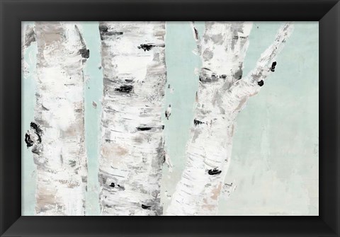 Framed Birch Tree Close Up Print