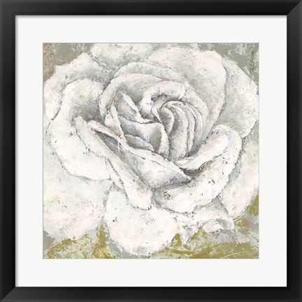 Framed White Rose Blossom Square Print